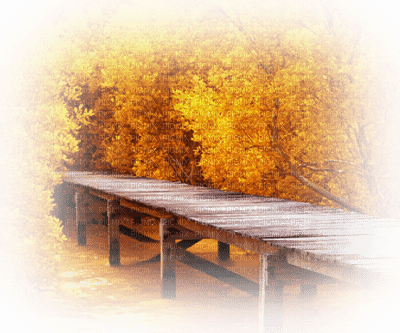 patymirabelle paysage automne - 免费PNG
