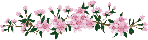 Flower Border, flowers , pink , light , border - PicMix