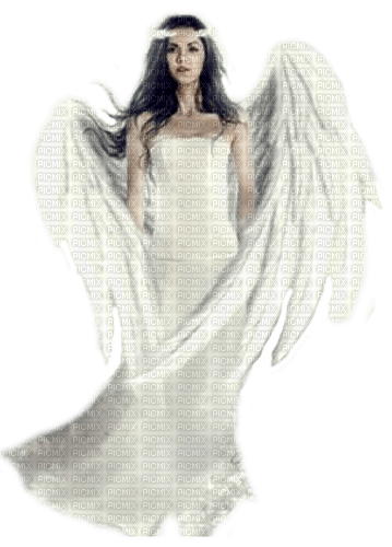 angel by nataliplus - Free PNG