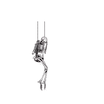 skeleton - Free animated GIF