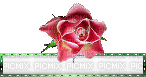 barre fleur vide - GIF animado grátis