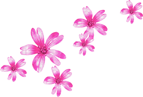 Flowers.Pink - zdarma png