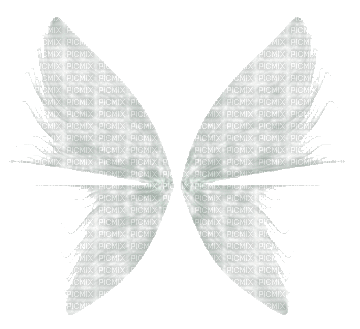 fairy animated wings - 免费动画 GIF