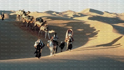desert landscape bp - zdarma png