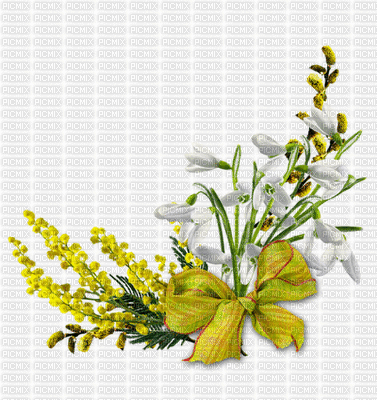 fleur branche - Gratis geanimeerde GIF