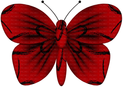 BUTTERFLY - 無料png