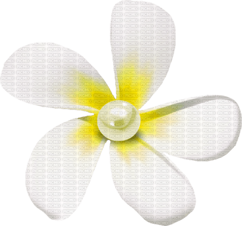 Flower.Pearl.Yellow.White - Free PNG