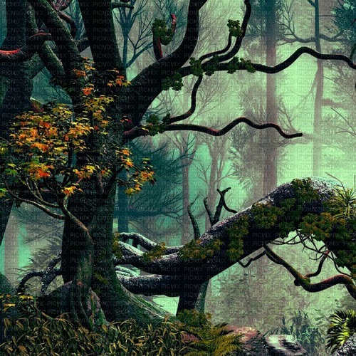 Y.A.M._Fantasy forest background - zdarma png