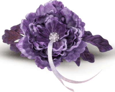 flower purple by nataliplus - zdarma png