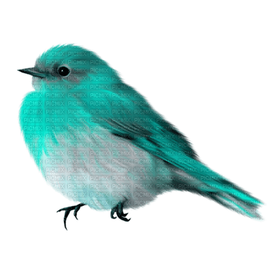 Kaz_Creations Bird Birds Colours - PNG gratuit