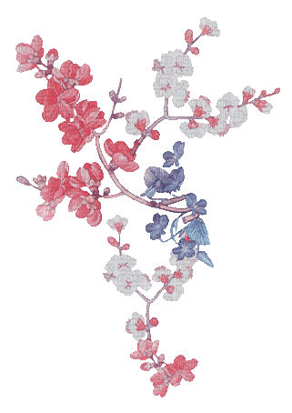 soave deco flowers animated branch pastel - Бесплатный анимированный гифка
