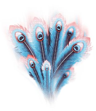 soave deco peacock feathers blue orange pink - PNG gratuit