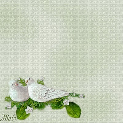 minou-background-doves - 免费PNG