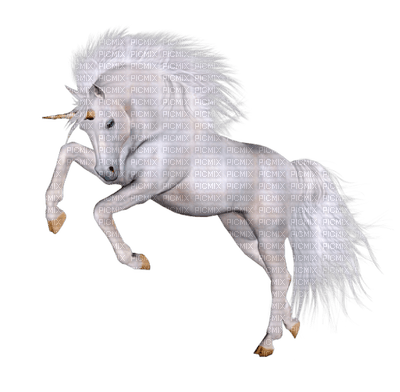 unicorn bp - 免费PNG