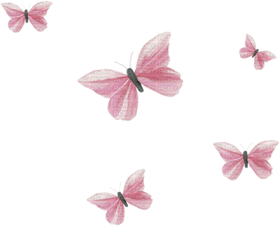 papillon - png gratuito
