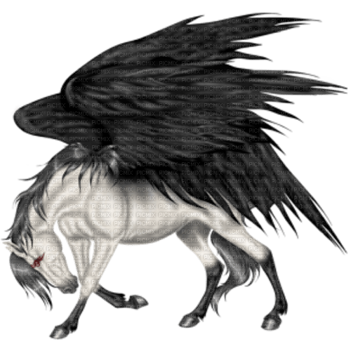 Kaz_Creations Pegasus - безплатен png