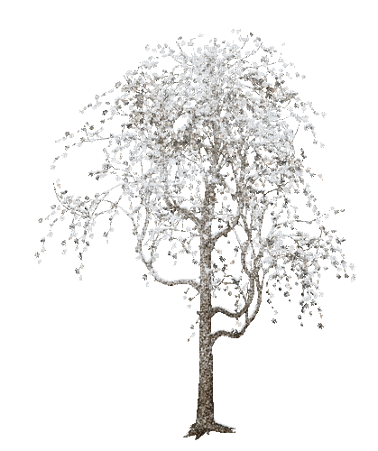 Winter Tree - GIF เคลื่อนไหวฟรี