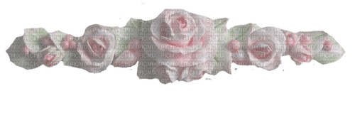 cream roses - Free PNG