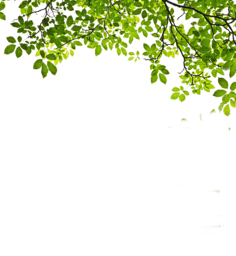green leaves border vert feuilles bordure - Free PNG