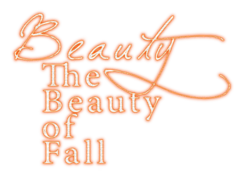 The Beauty Of Fall.Text.White.Orange - безплатен png