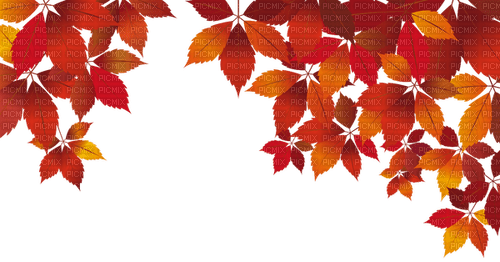 autumn Bb2 - безплатен png