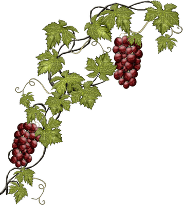 Kaz_Creations Deco Branch Grapes Fruit - gratis png