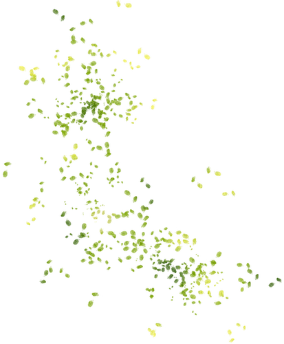 Green Leaves - zadarmo png