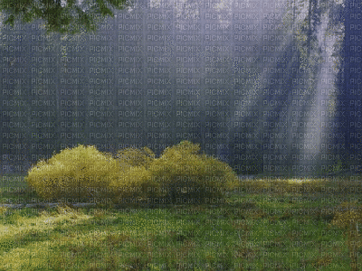 Kaz_Creations Animated Rain Backgrounds Background - Free animated GIF