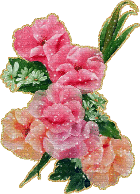 flowers peony, peonies bp - Gratis geanimeerde GIF