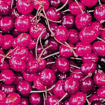Pink Cherries Background - Δωρεάν κινούμενο GIF