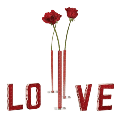 valentine valentin text love fleur red - PNG gratuit