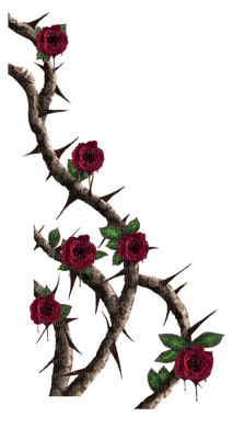 rose gothique.Cheyenne63 - PNG gratuit