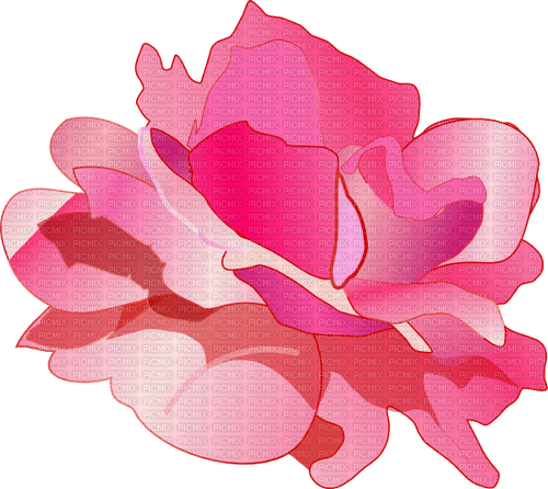 pink rose Bb2 - nemokama png
