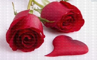 ROSES - ilmainen png