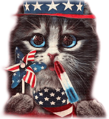 Cat.Patriotic.4th Of July - By KittyKatLuv65 - ücretsiz png