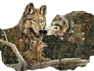 Loups ** - Бесплатни анимирани ГИФ