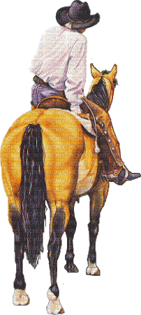cowboy - Zdarma animovaný GIF