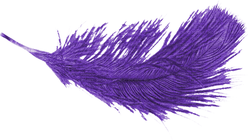 purple feather 2 - zadarmo png