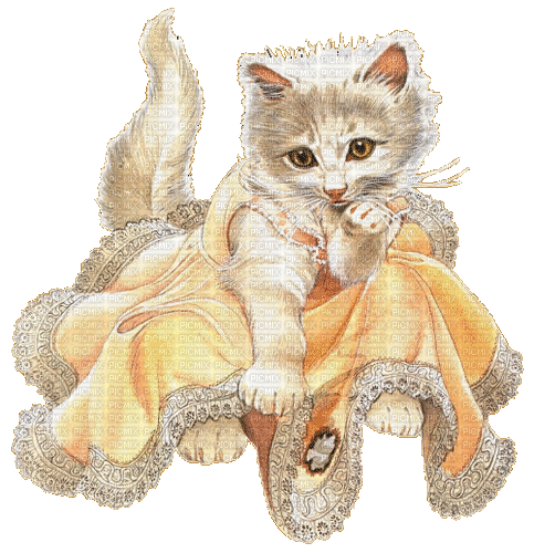 dolceluna cat vintage pastel color - Animovaný GIF zadarmo