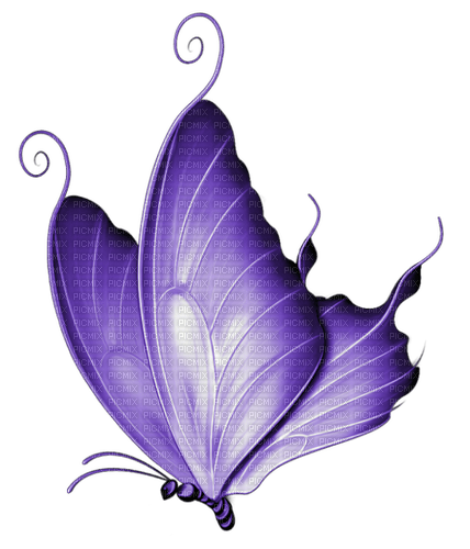 kikkapink purple fantasy butterfly - бесплатно png