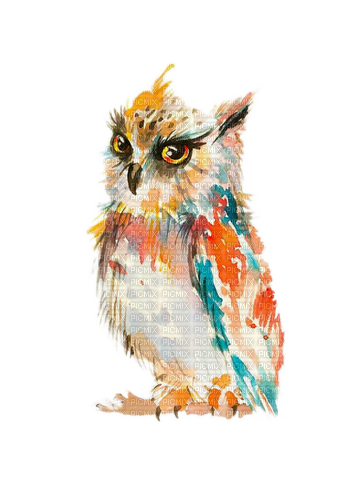 Owl, Eule, Aquarelle - PNG gratuit