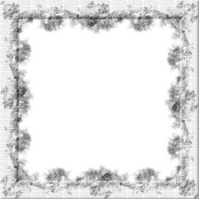 white frame - png grátis