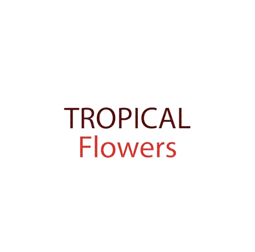loly33 texte tropical flowers - png gratuito