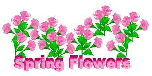 fleur*kn* - GIF animé gratuit