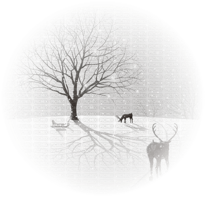 winter anastasia - PNG gratuit