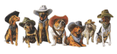 dog chien hund animal animaux mignon tube hunde dogs chiens animals western wild west cowboy - png ฟรี