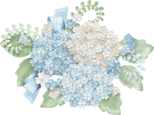 Hortensia Bb2 - 免费PNG