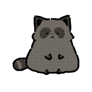 Raccoon - 免费动画 GIF