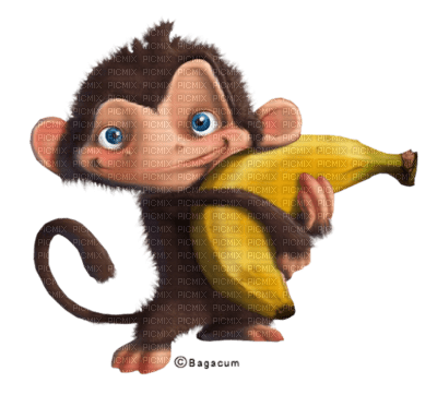 cecily-dessin singe banane - png grátis