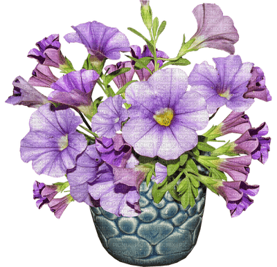 kukka, flower, fleur - besplatni png